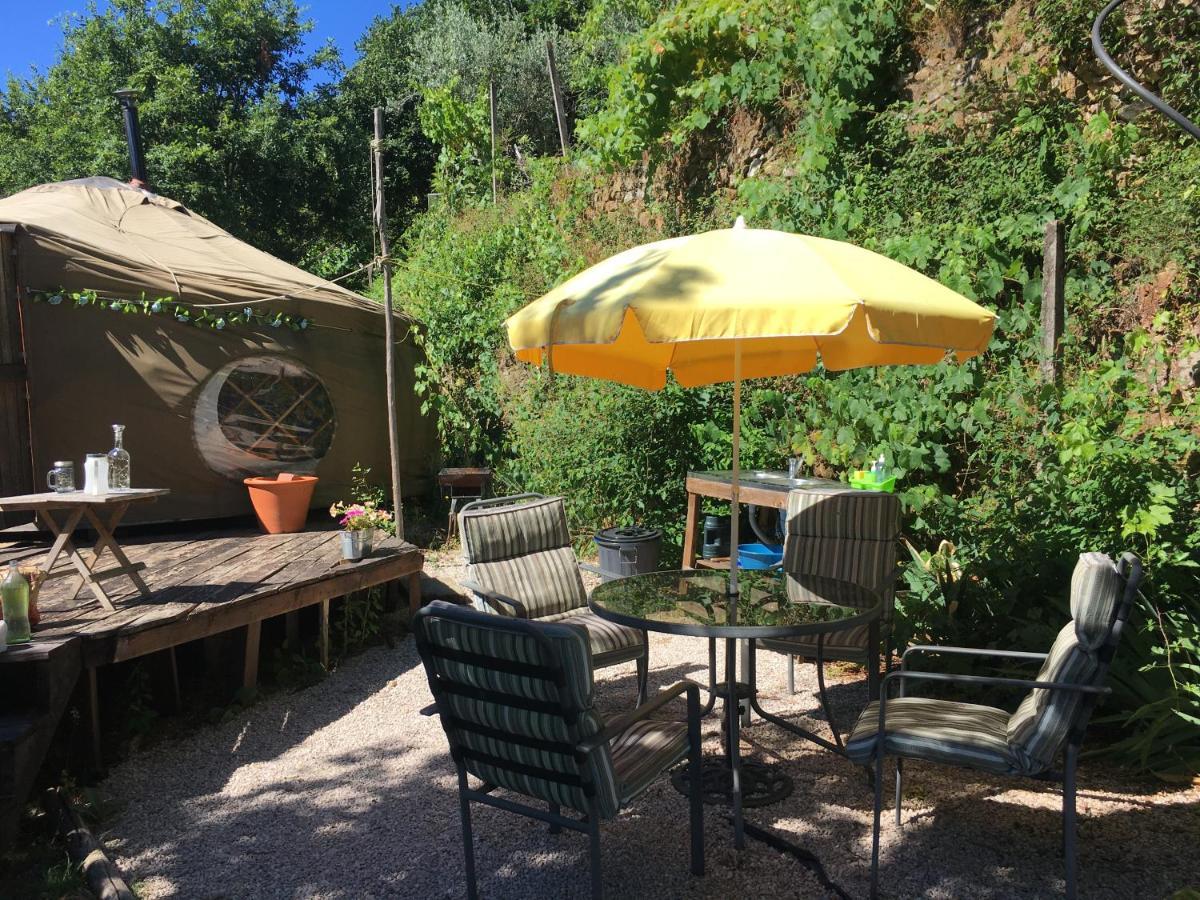 Star Gazing Luxury Yurt With River Views, Off Grid Eco Living Vale do Barco Екстер'єр фото